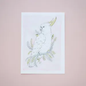 Acacia Giclée Print