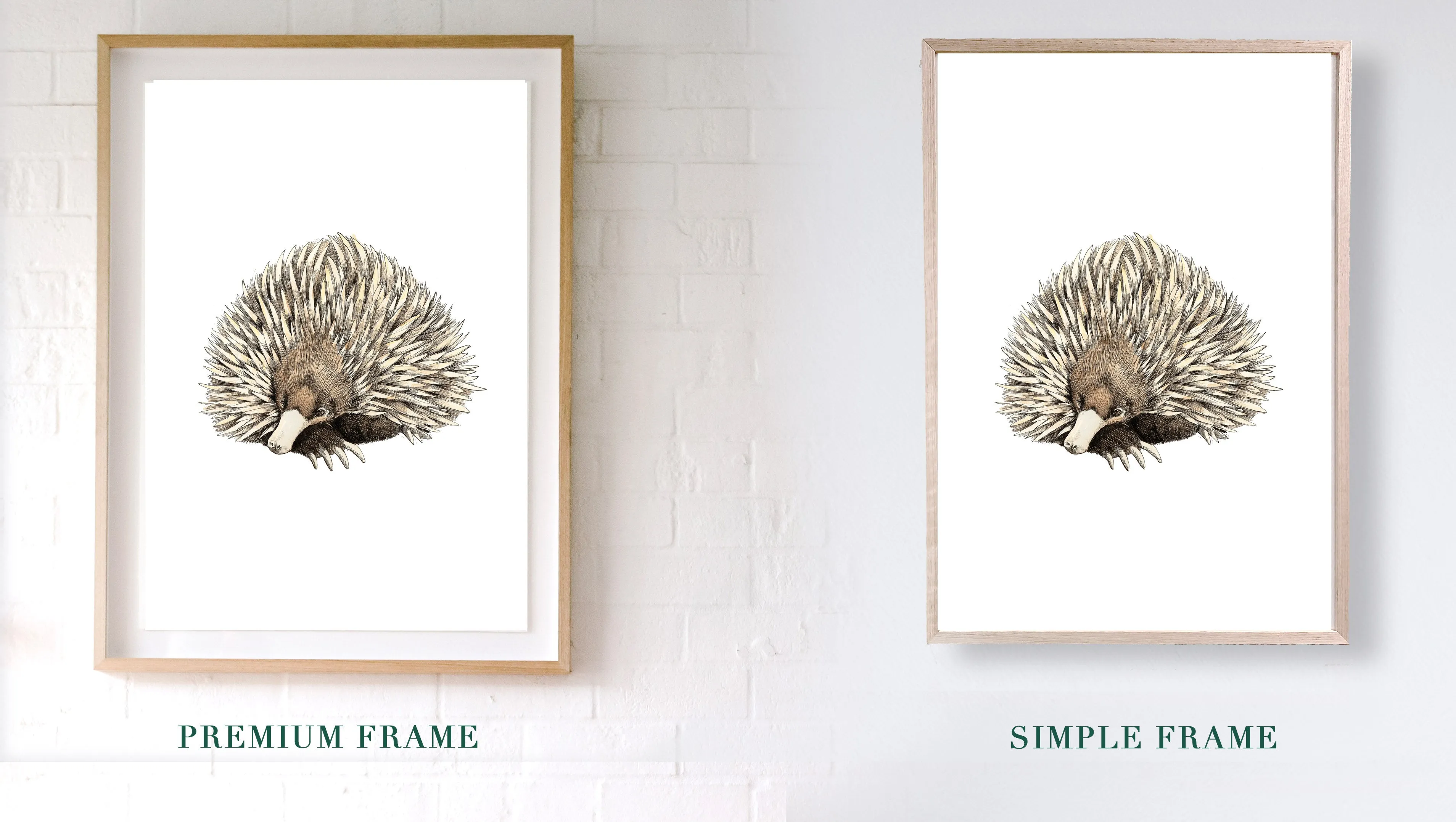 Alinta Giclée Print