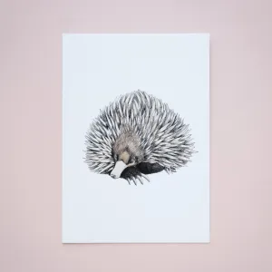 Alinta Giclée Print