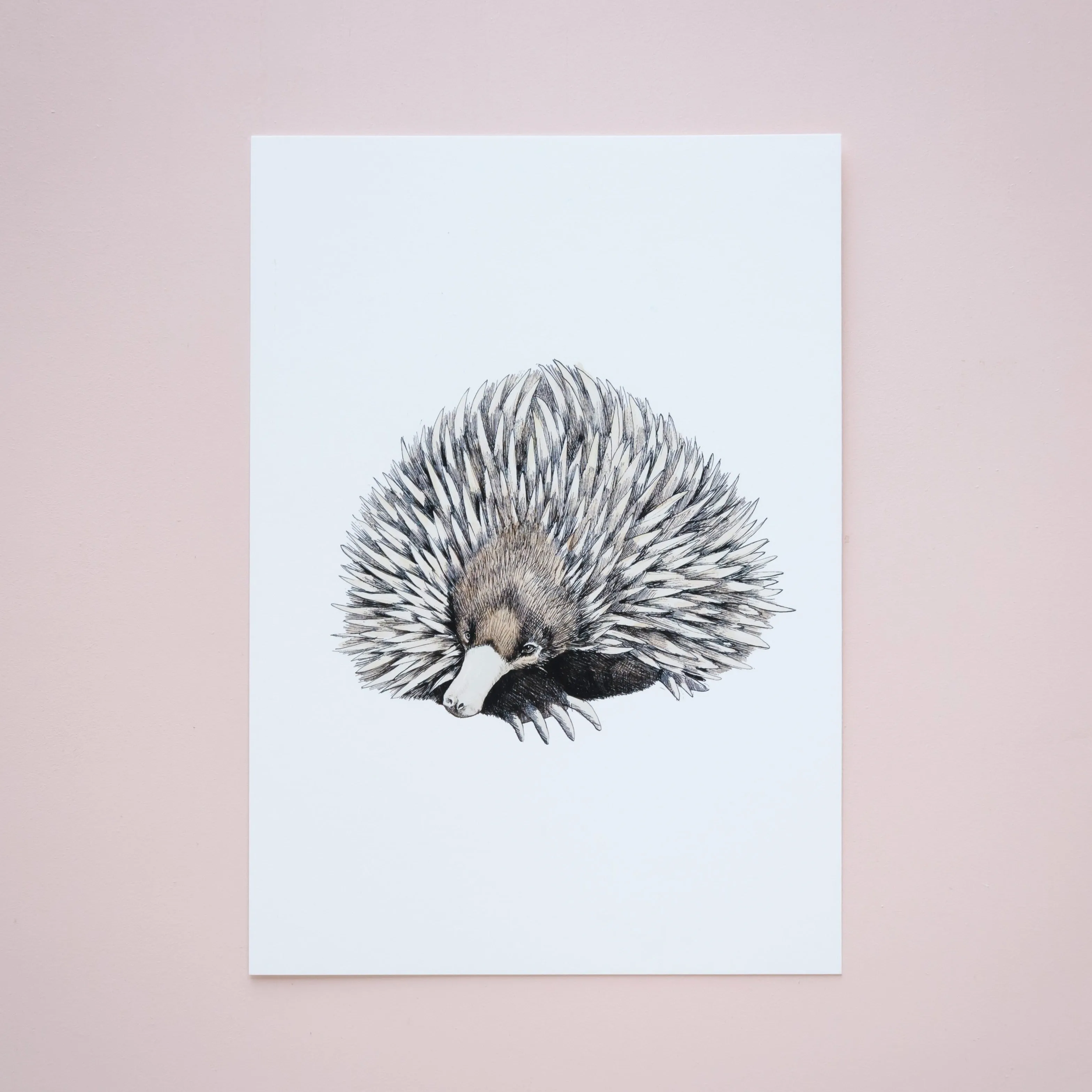 Alinta Giclée Print