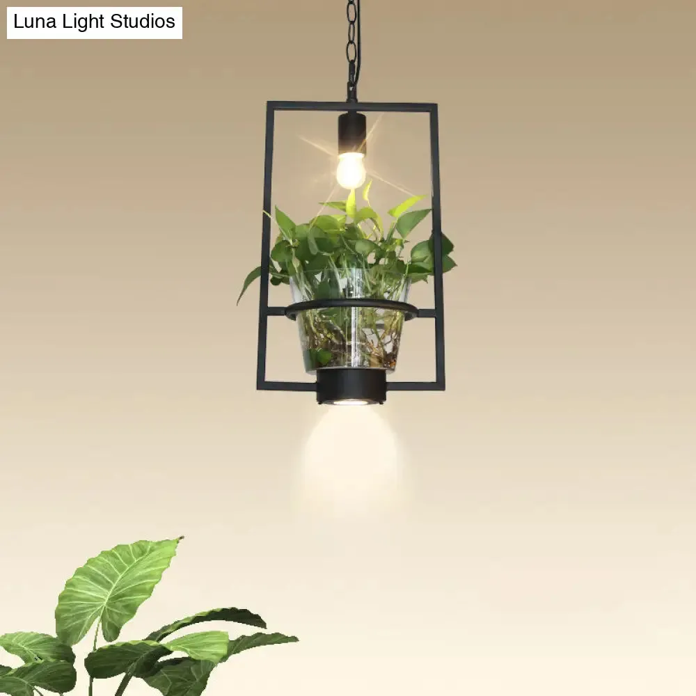 Black Industrial Iron Pendant with Clear Glass Plant Pot: 1 Light Down Lighting Cage Design
