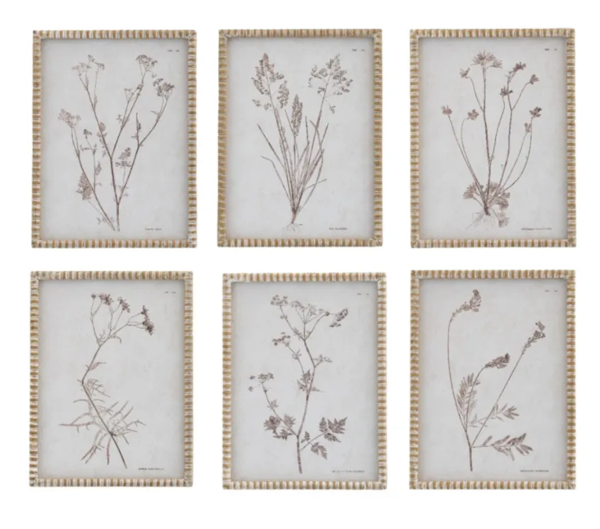 Bobble Framed Botanical Prints
