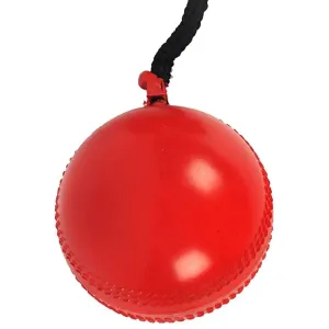 Cricket Hanging Ball