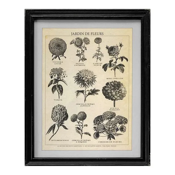 Framed Vintage Prints - 4 Designs