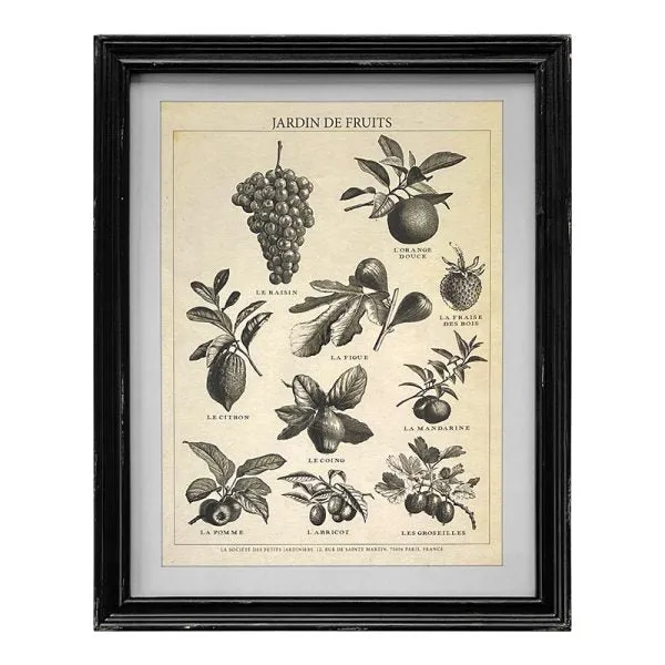 Framed Vintage Prints - 4 Designs