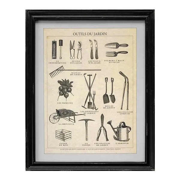 Framed Vintage Prints - 4 Designs