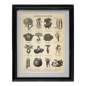 Framed Vintage Prints - 4 Designs
