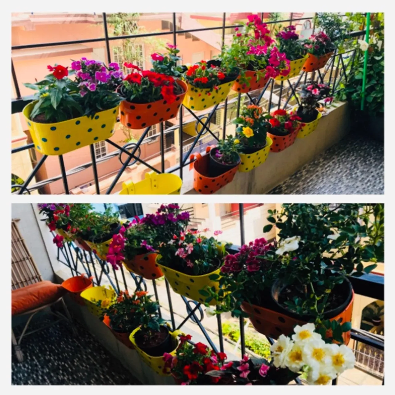 Polka Dot Blue 10" Balcony Railing Planter
