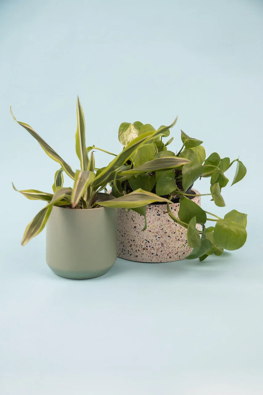 The Kendall Pot