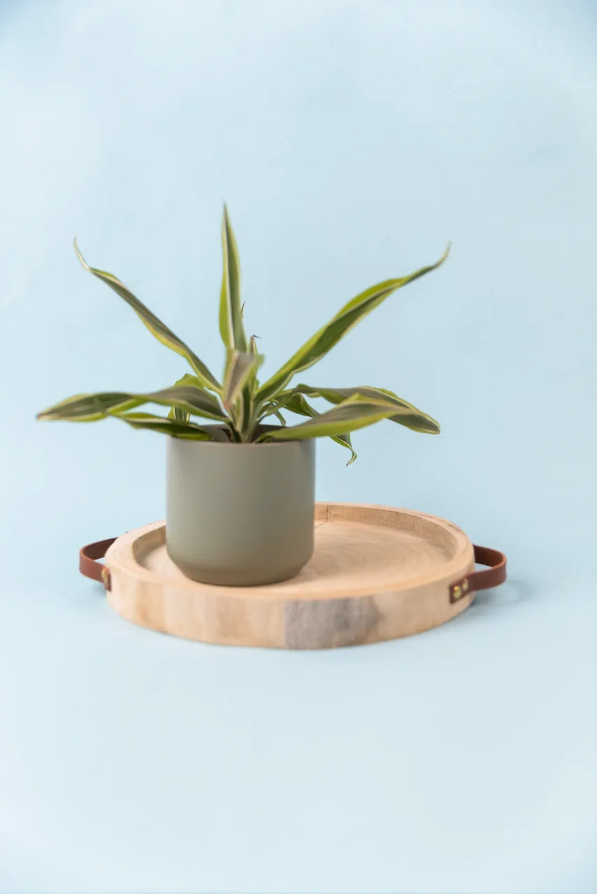 The Kendall Pot