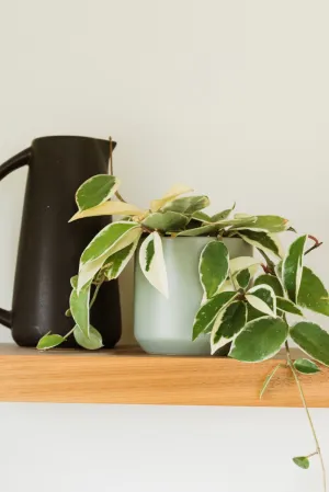 The Kendall Pot